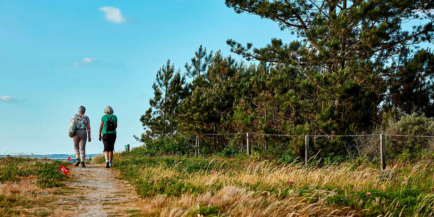 Bevæg dig for livet – naturewalk (foto: Bo Nymann / DGI Media)